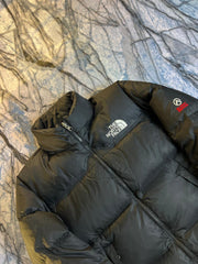 Original The NorthFace 800 Fill Power Lightweight Branded Feather Jacket