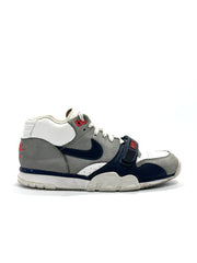 Nike Sneaker Lightweight Branded Sneakers Shoes