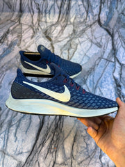 Nike Pegasus Branded Shoes
