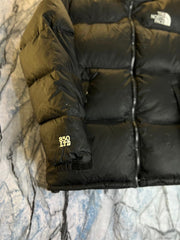 Original The NorthFace 800 Fill Power Lightweight Branded Feather Jacket