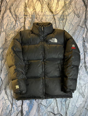Original The NorthFace 800 Fill Power Lightweight Branded Feather Jacket