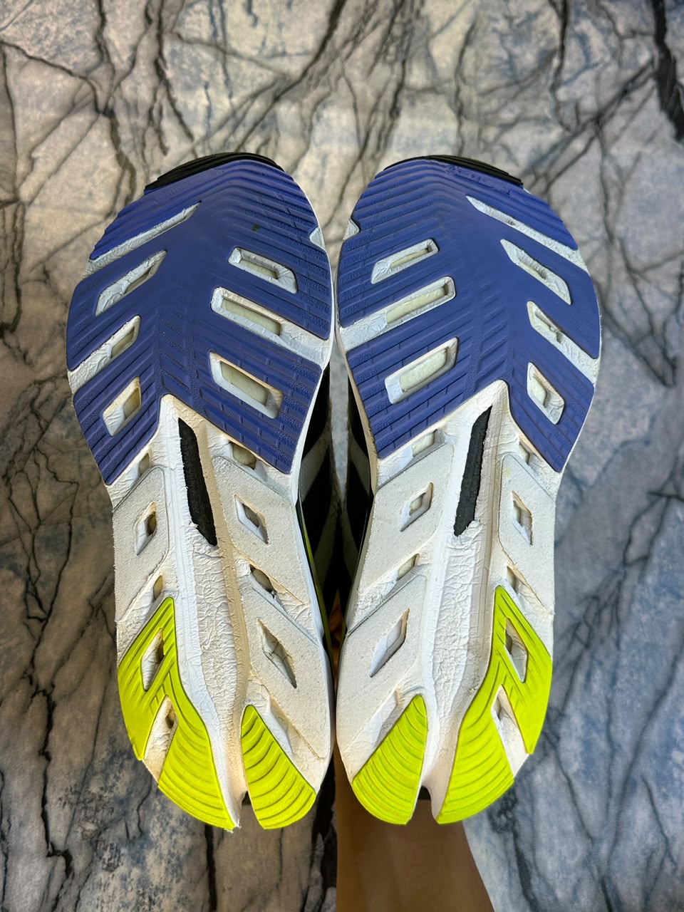 Adidas Adistar Branded Running Shoes