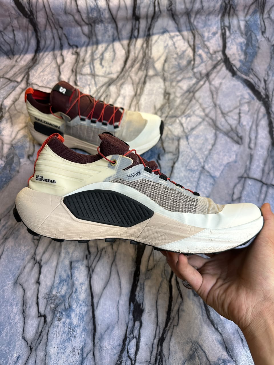 Salomon Genesis Trail Running Branded Shoes