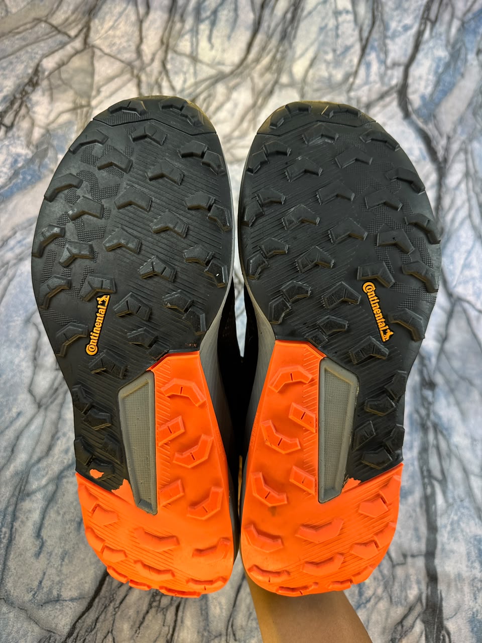 Adidas Terrain Gore-Tex Branded Trial Runner Shoes