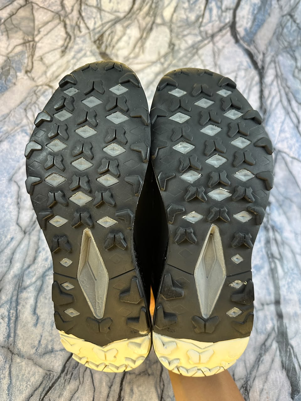 The NorthFace Trial Runner Shoes