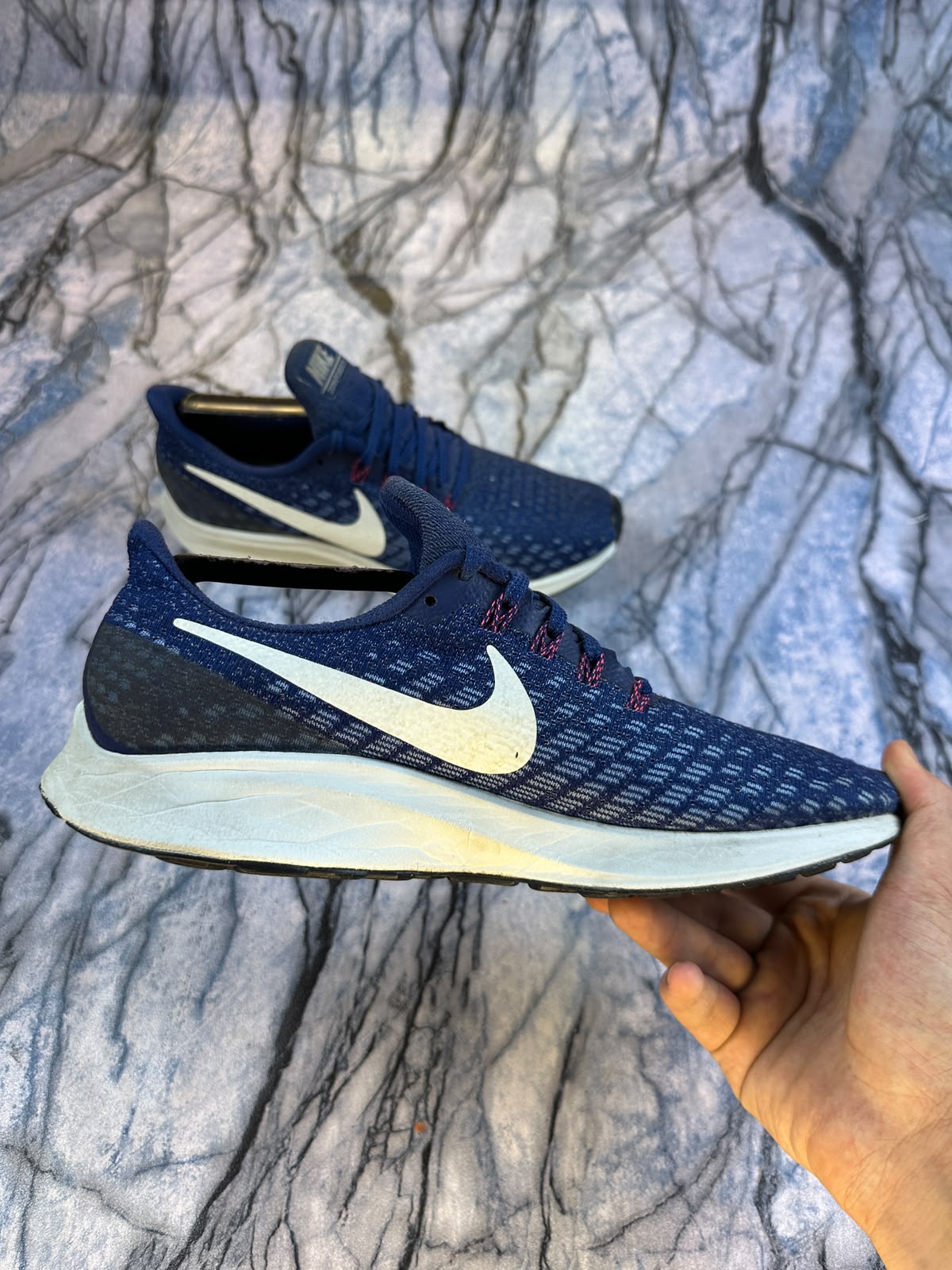 Nike Pegasus Branded Shoes
