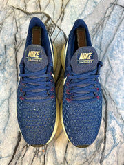 Nike Pegasus Branded Shoes