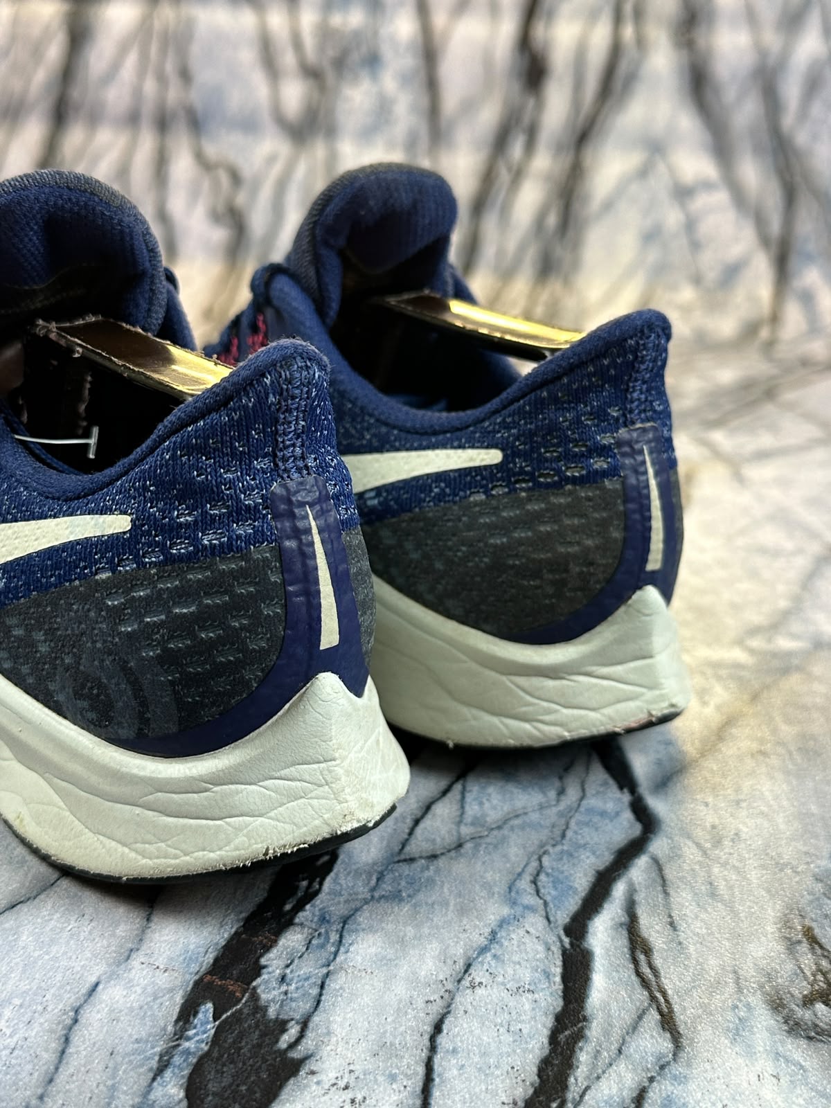 Nike Pegasus Branded Shoes