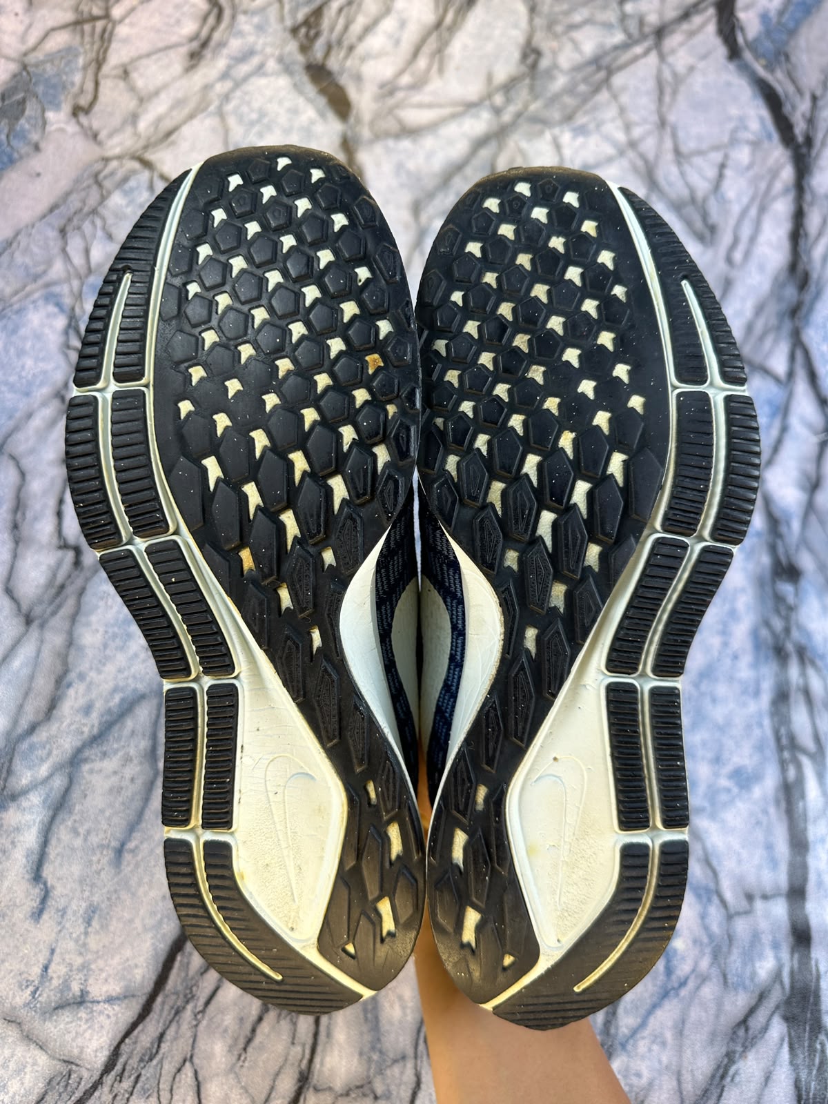 Nike Pegasus Branded Shoes