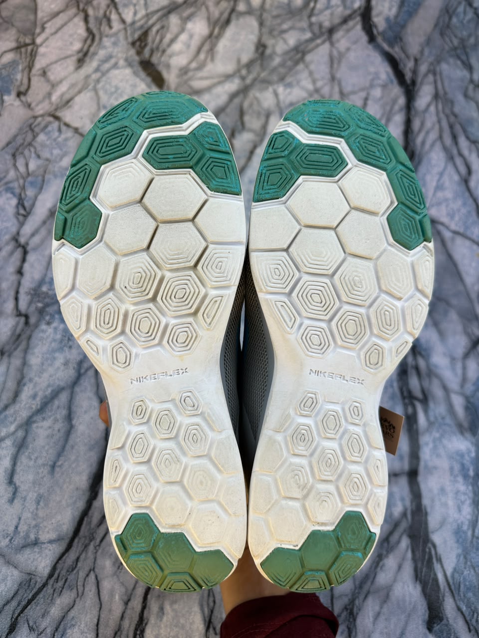 Nike Flex Branded Shoes