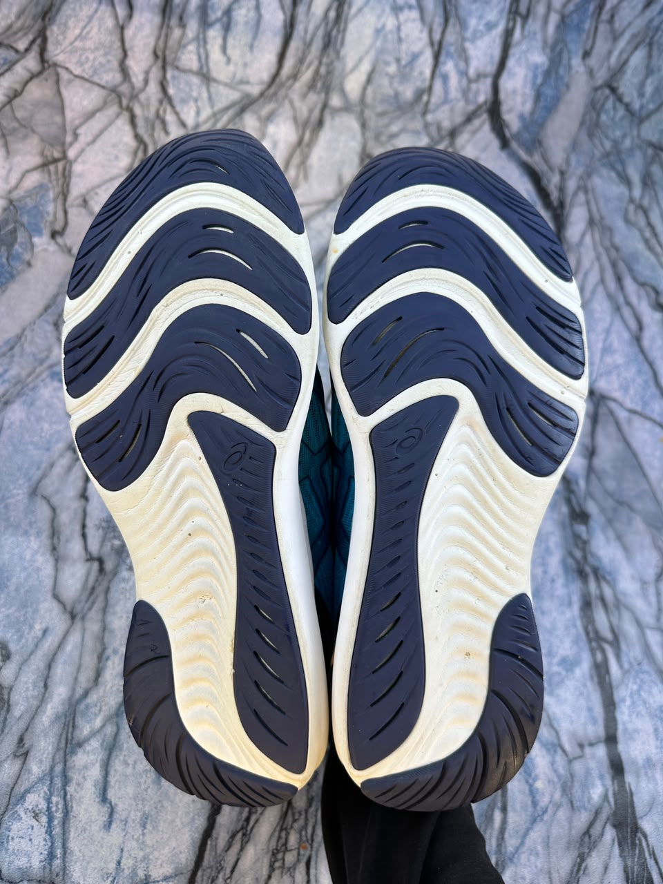 Asics Gel Pulse 14 Branded Running Shoes