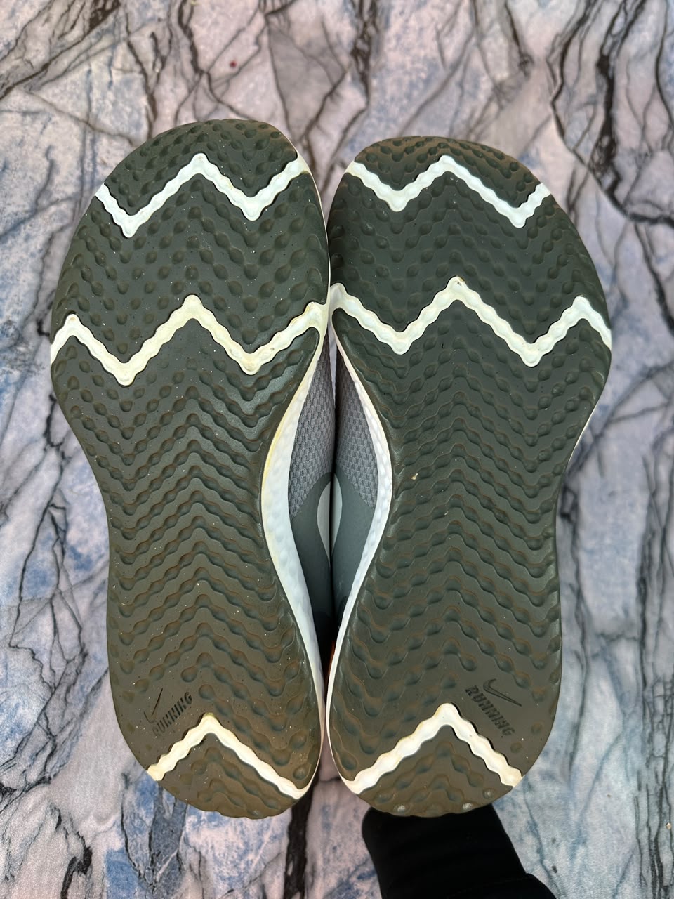 Nike Revolution Gray Branded Shoes