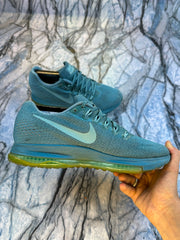 Nike Branded Running Shoes