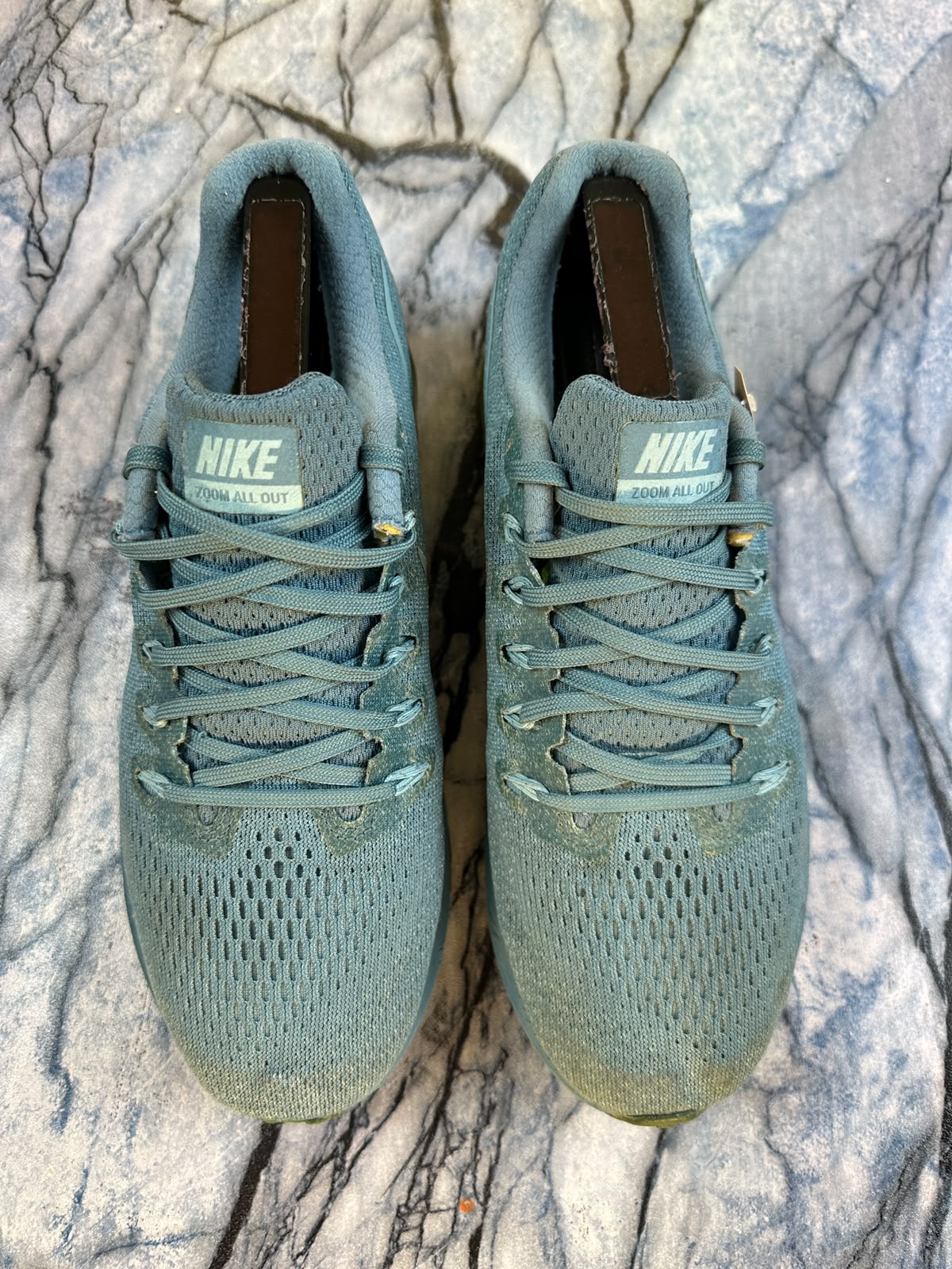 Nike Branded Running Shoes